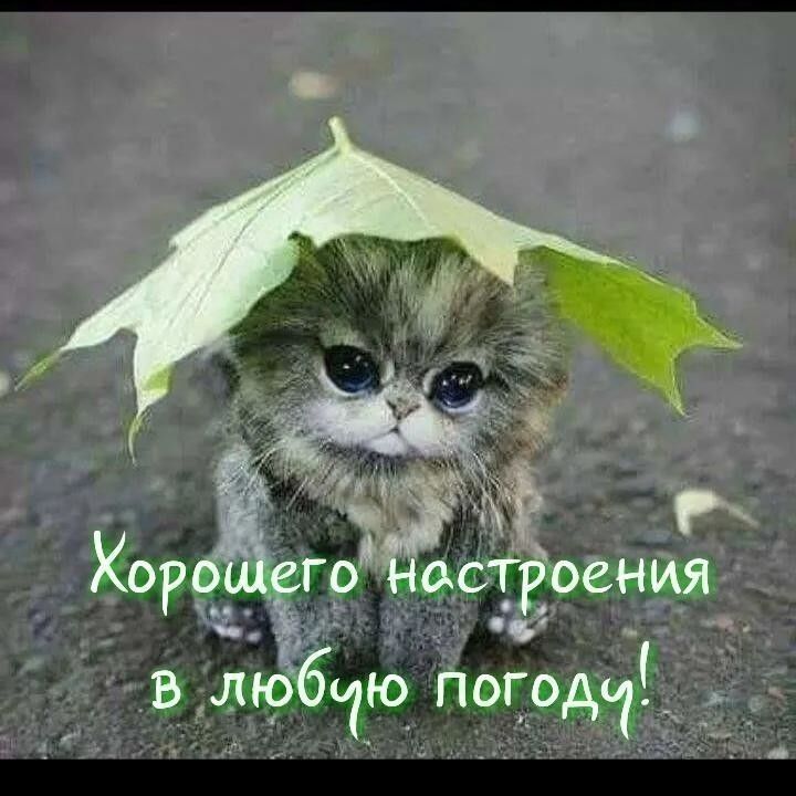 ігр _ асТроениз в любодю погэдч