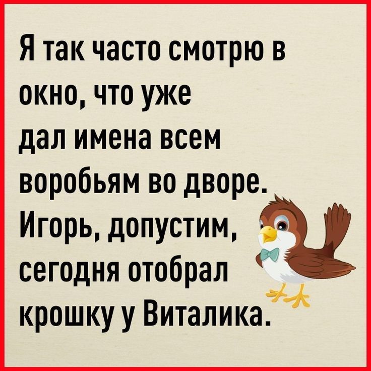 Я так часто смотрю в окно что уже дал имена всем воробьям во дворе Игорь допустим сегодня отобрал крошкуу Виталика