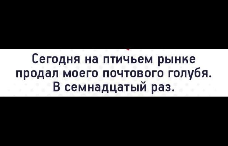 СЕГОДНЯ на ПТИЧЬЭМ рынке продал моего почтового голубя В семнадцатый раз