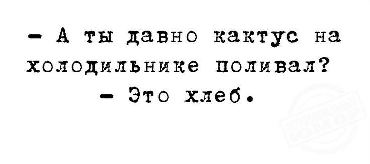 А ты давно кактус на холодильнике поливал Это хлеб