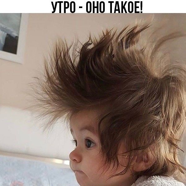 УТРО ПНП ТАКОЕ