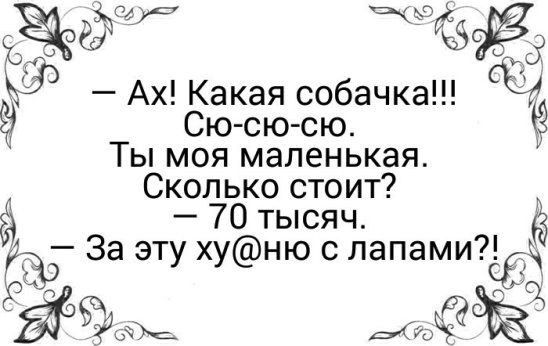 Ах Какая собачка Сю с ю сю Ты моя маленькая Сколько стоит 70 тысяч 3 За эту хуню с лапамисё ЁЁЁФ здам 353