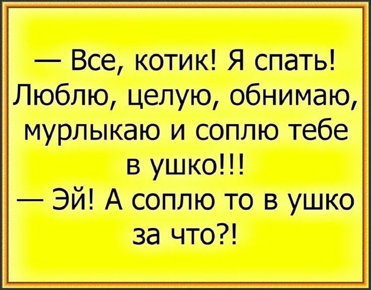 Все котик Я спать Люблю целую обнимаю мурлыкаю и соплю тебе в ушко Эй А соплю то в ушко за что