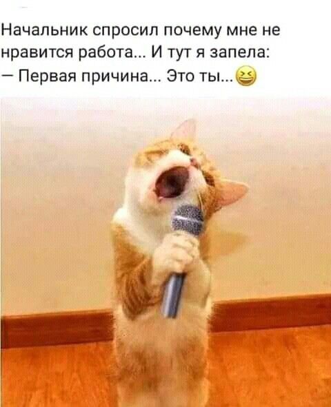 Начальник спросил почему мне не нравится работа И тут я запела Первая причина Это ты
