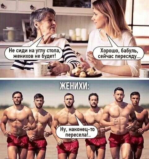 сиди на ут папа женихов не улет