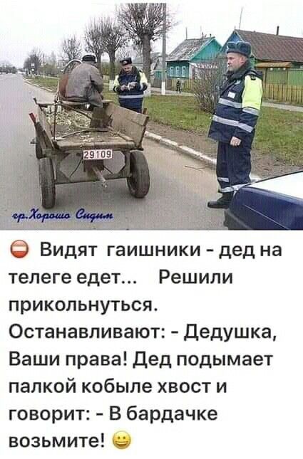 Видят гаишники дед на телеге едет Решили прикольнуться Останавливают Дедушка Ваши права Дед подымает папкой кобыле хвост и говорит В бардачке возьмите