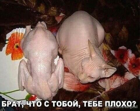 Е пляжах Ытт _ А С ТЧБОИ ТЕ