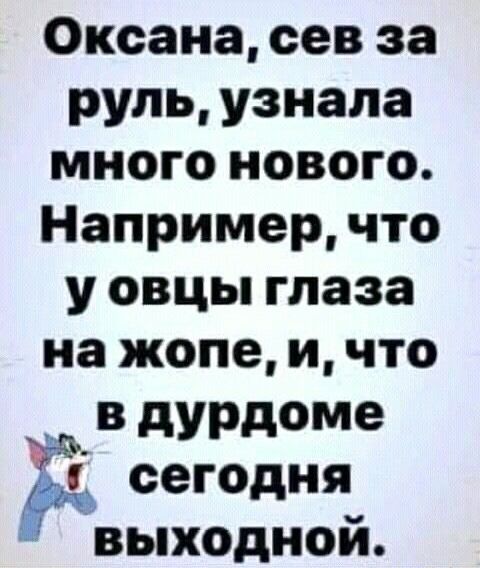 Оксана сев за руль узнала много нового Например что у овцы глаза на жопе и что дУРдоме Ё сегодня и ВЬПХОДНОИ