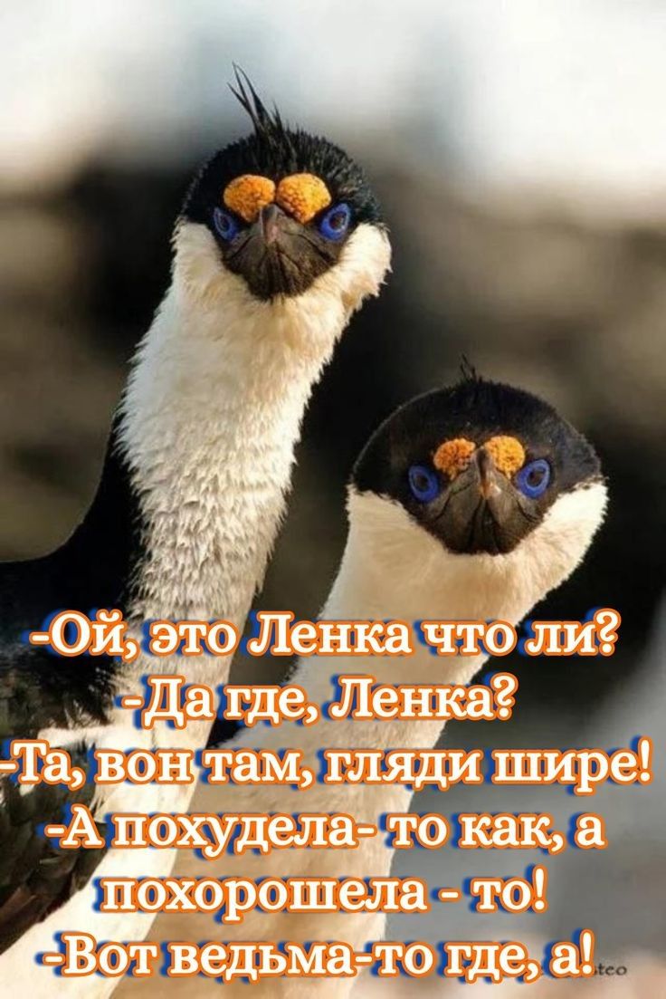 Г оЛенкнкчто ли гдеЛенка а вонтамігляди шире А похуделатокнк а похорошела то СВОТ ведьма тоа