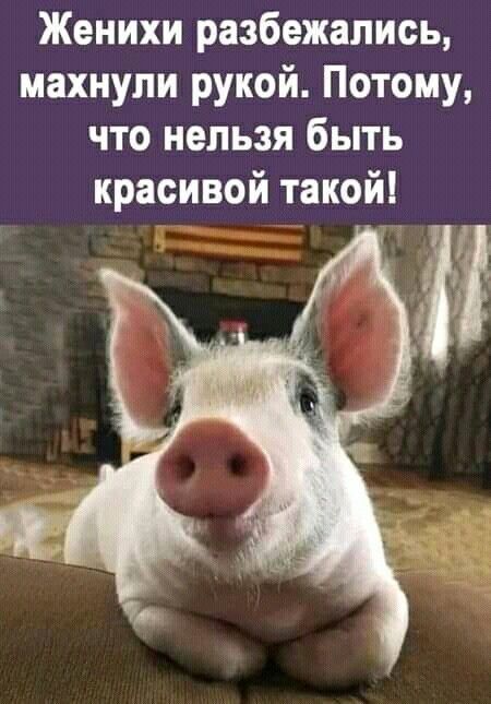 Женихи разбежались махнули рукой Потому что нельзя быть красивой такой