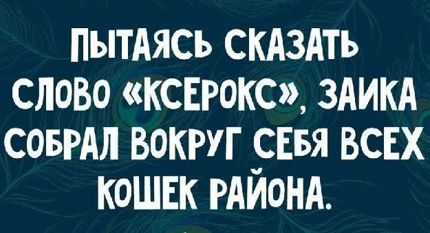 ПытАясь СКАЗАТЬ слово ксерокс ЗАИКА соврдл вокруг _снвя всвх кошнк РАИОНА