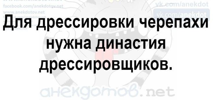 Для дрессировки черепахи нужна династия дрессировщиков