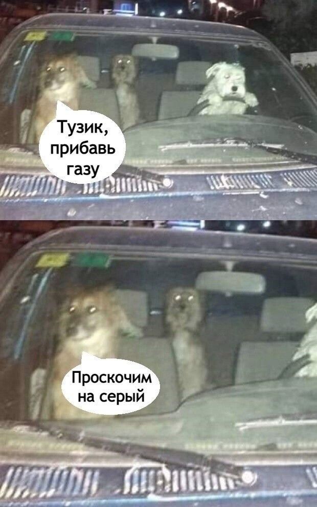 прибавь газ птпёп Проскочим на серый __