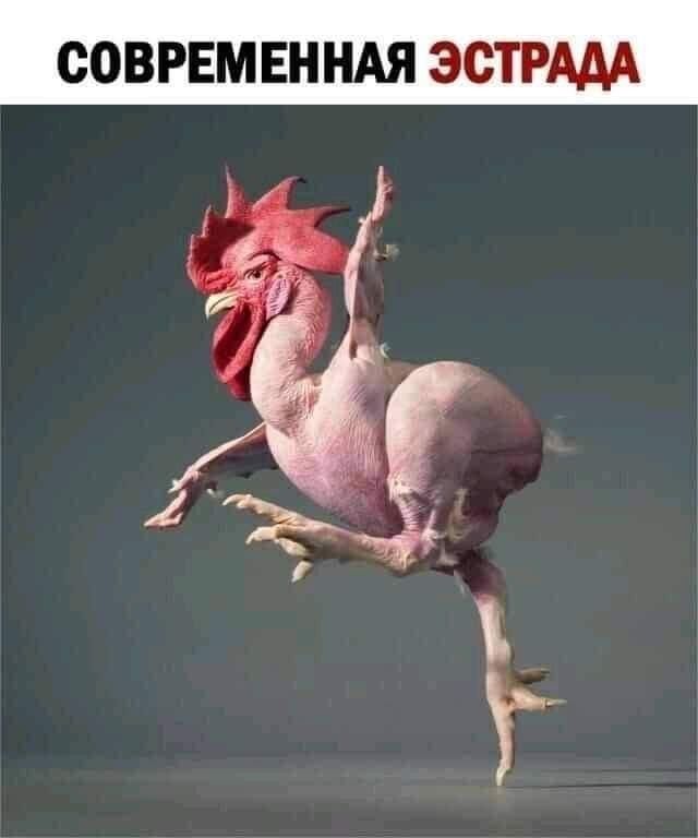СОВРЕМЕННАЯ ЭСТРААА