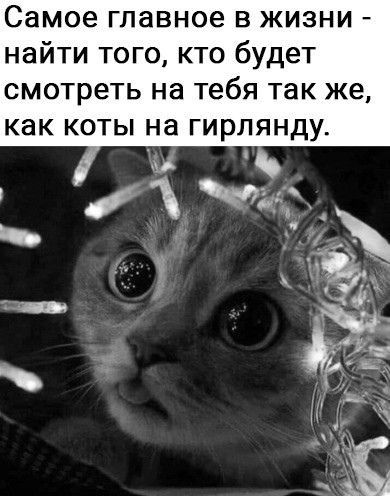 Самое главное в жизни найти того кто будет смотреть на тебя так же