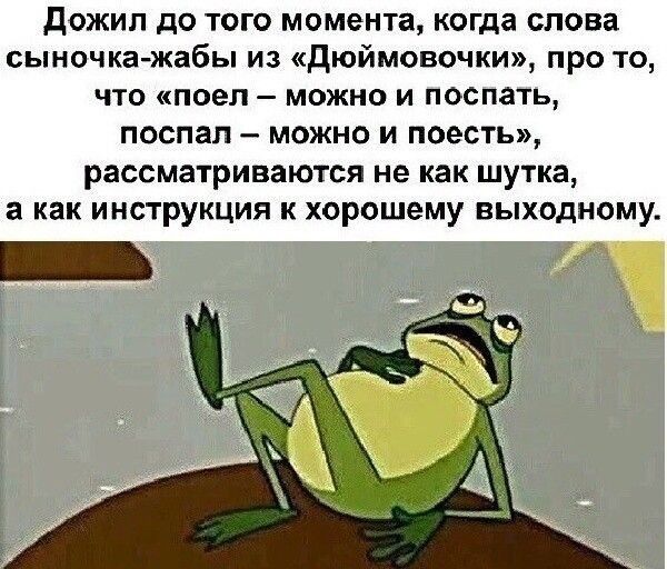 Дожил до того момента когда слова сыночка жабы из дюймовочки про то что поел можно и поспать поспал можно и поесть рассматриваются не как шутка а как инструкция к хорошему выходному