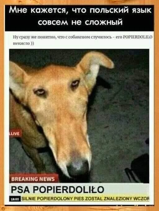 МНЕ кажется ЧТО ПОЛЬСКИЙ ЯЗЫК совсем не сложный РБА РОРЕКВОЦЪ0