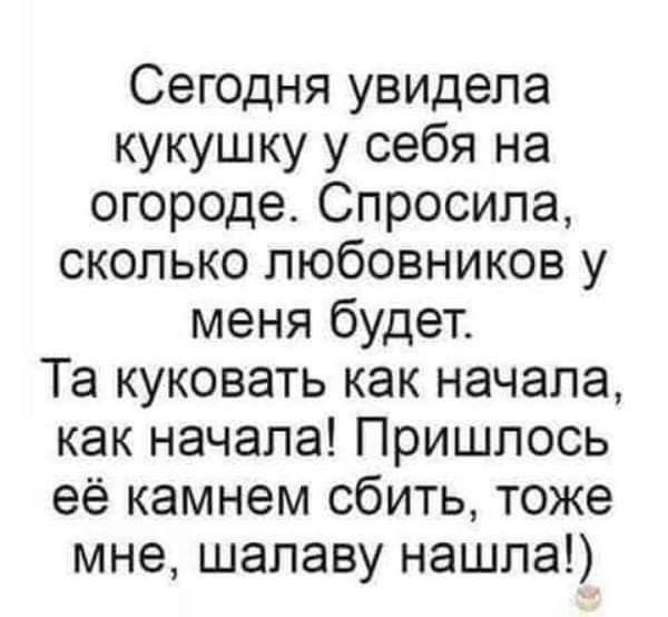 Сегодня увидела кукушку у себя на огороде Спросила сколько любовников у меня будет Та куковать как начала как начала Пришлось её камнем сбить тоже мне шалаву нашла