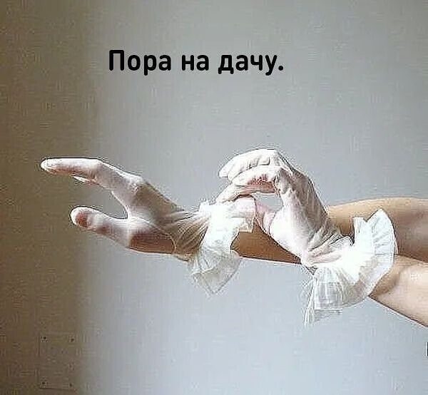 ора на дачу