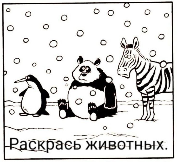 ГЕаЕеь живетных