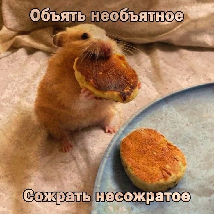 объять необъяное