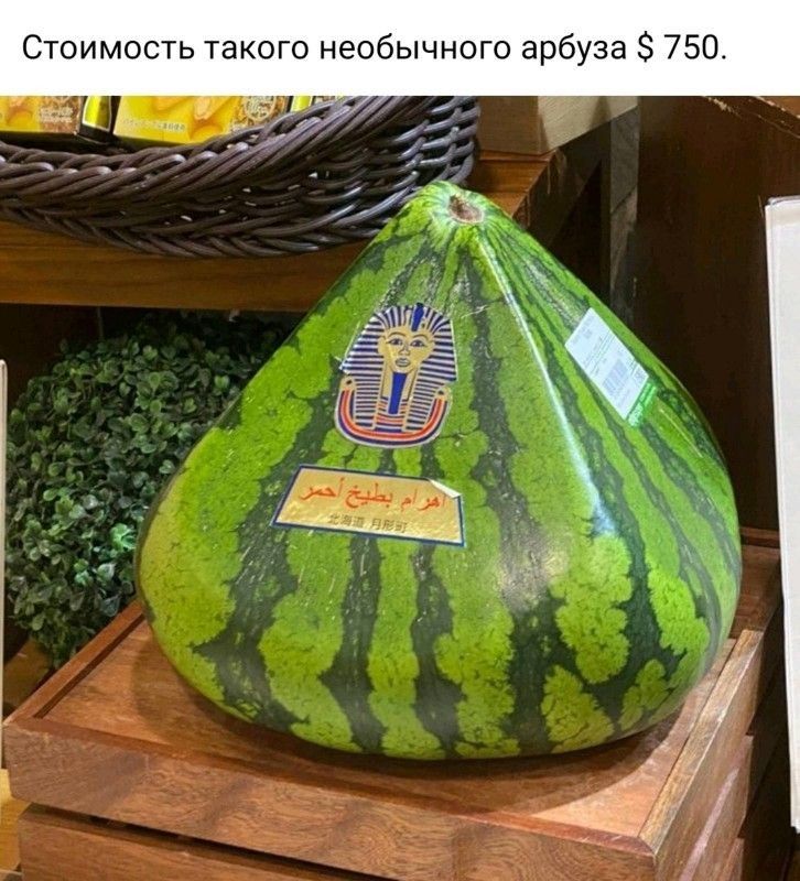 Стоимость такого необычного а