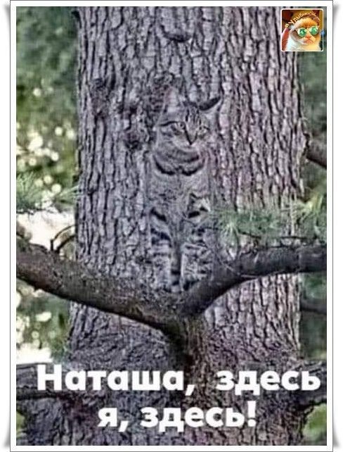 Э здесь Г Ф С ла 4 К