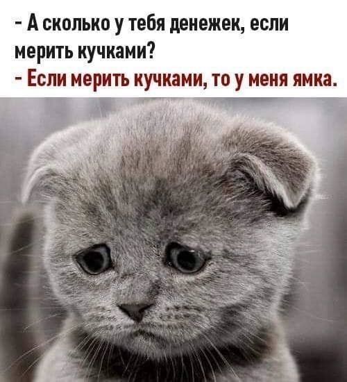 А сколько у тебя денежек если мерить КУЧКЗМИ ЕСЛИ мерить кучками ТО У меня ямка