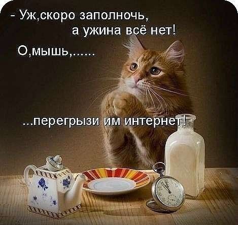 Г Ужжоро заполночь а ужина в ё нет перегрызи м