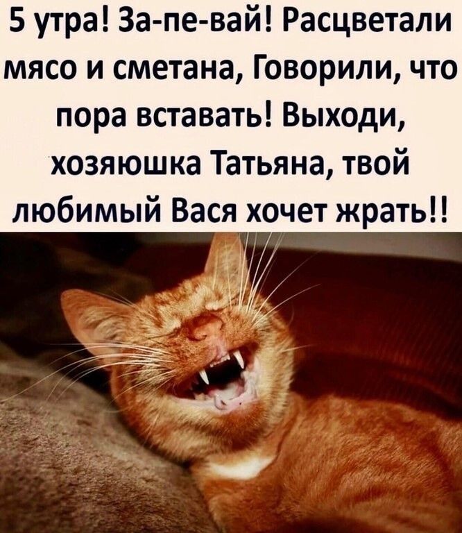 5 утра За пе вай Расцветали мясо и сметана Говорили что пора вставать Выходи хозяюшка Татьяна твой любимый Вася хочет жрать