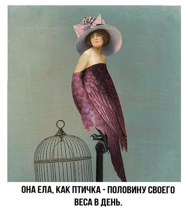ПНА ЕМ КАК ПТИЧКА ППЛПВИНУ ОВПЕГП НЕВА В ЛЕНЬ