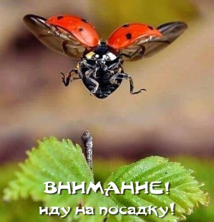 тЫп Зг д _ГЬХБ и гыёіаі А