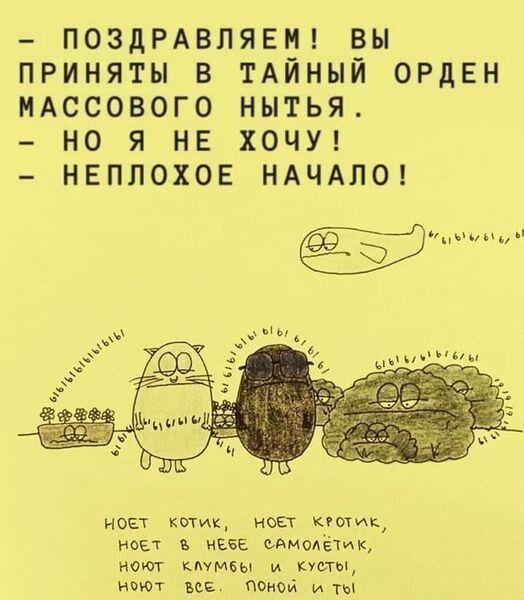 ПОЗДРАВЛЯЕМ вы приняты в ТАЙНЫЙ орден пАссового нытья _ но я не ХОЧУ неплохое ндчдпок жду нои котик исп кгомк мы ивве сдмацётик нот кьумвы и купи ищет на пены и
