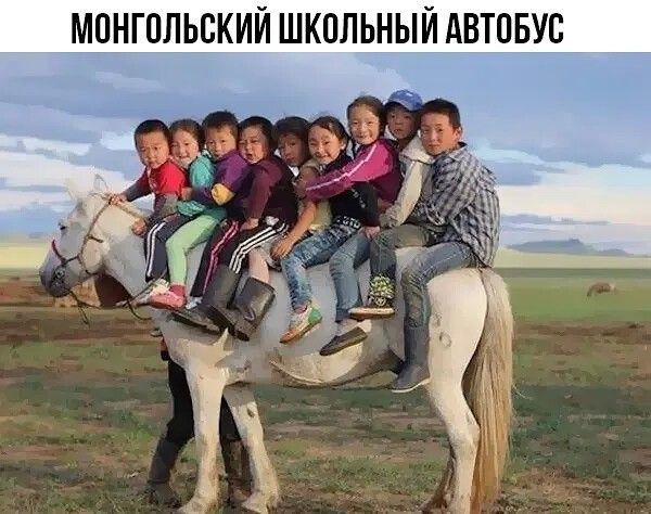 МПНГПЛЬВКИЙ ШКОЛЬНЫЙ АВТ05УС