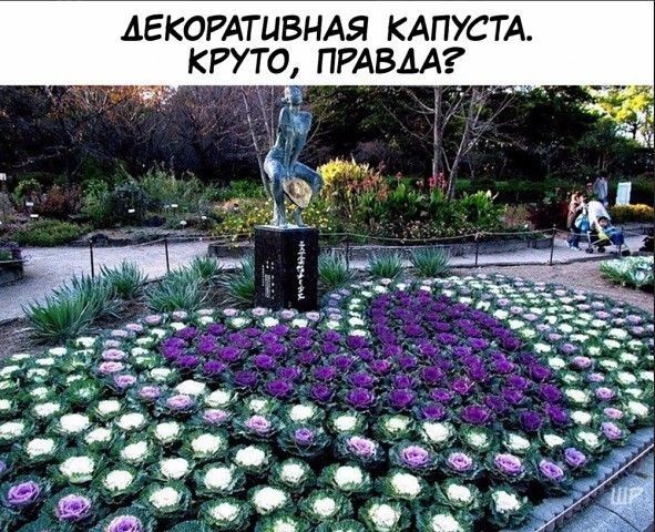 ПРАВДА КРУТО т у м к Я А Н в к Е А