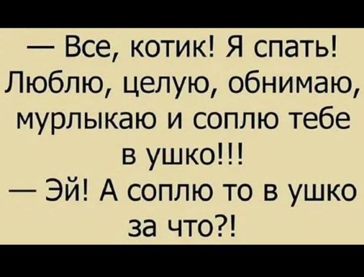 Все котик Я спать Люблю целую обнимаю мурлыкаю и соппю тебе в ушко Эй А соппю то в ушко за что