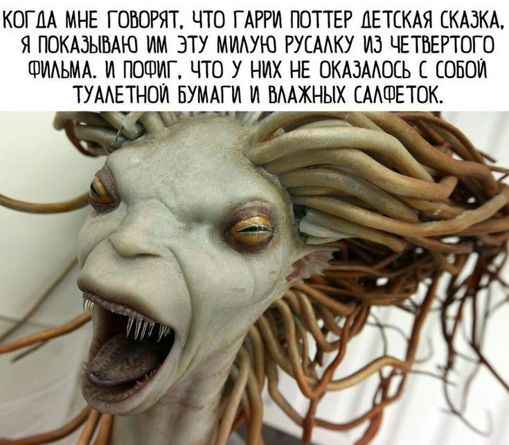 КОГДА МНЕ ГОВОРЯТ ЧТО ГАРРИ ПОТТЕР ДЕТСКАЯ СКАЗКА Я ПОКАЗЫВАЮ ИМ_ЭТУ МИЛУЮ РУСАЛКУ ИЗ ЧЕТВЕРТОГО ФИЛЬМА И ПОФИГ ЧТО У НИХ НЕ ОКАЗАЛОСЬ С СОБОЙ ТУАЛЕТНОЙ БУМАГИ И ВЛАЖНЫХ САЛФЕТОК