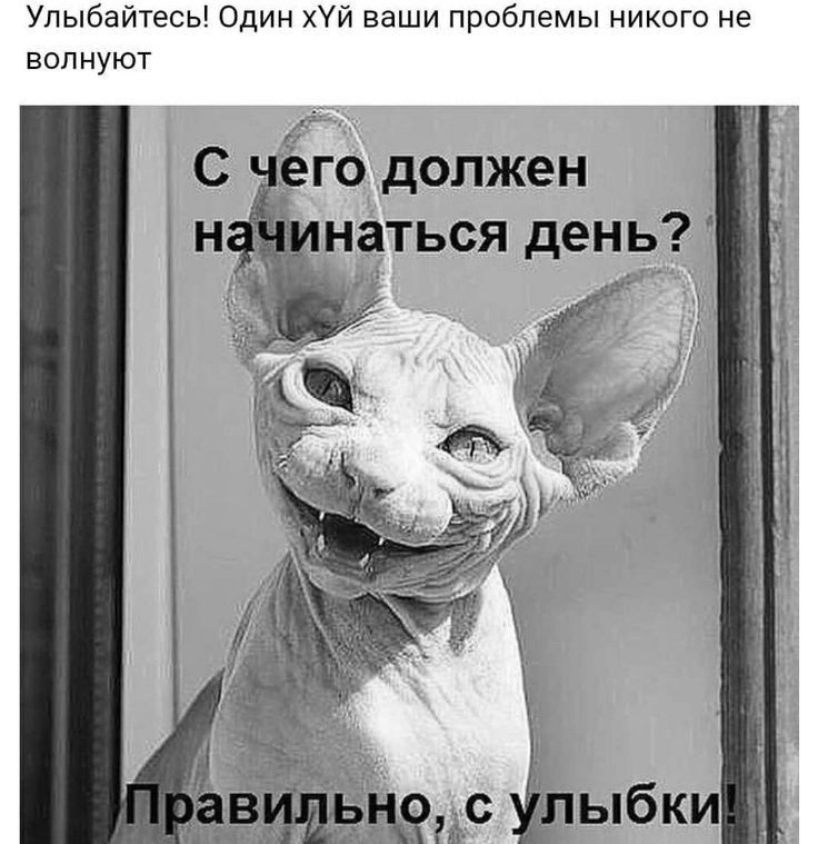 Улыбайтесь Один хУй ваши проблемы никого не волнуют го должен И наться день