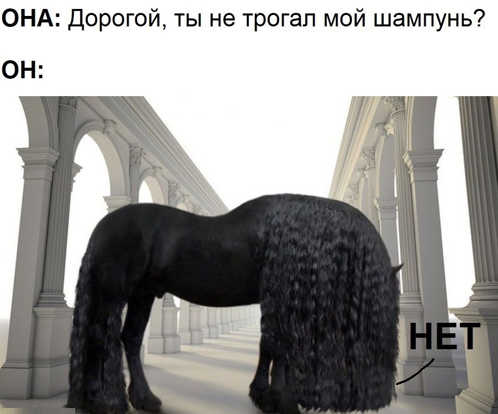 ОНА Дорогой ты не трогал мой шампунь ОН