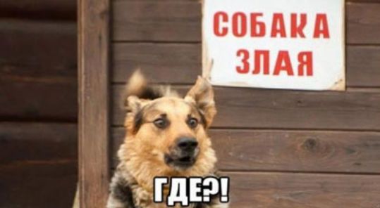 СОБМШ ЗПАЯ