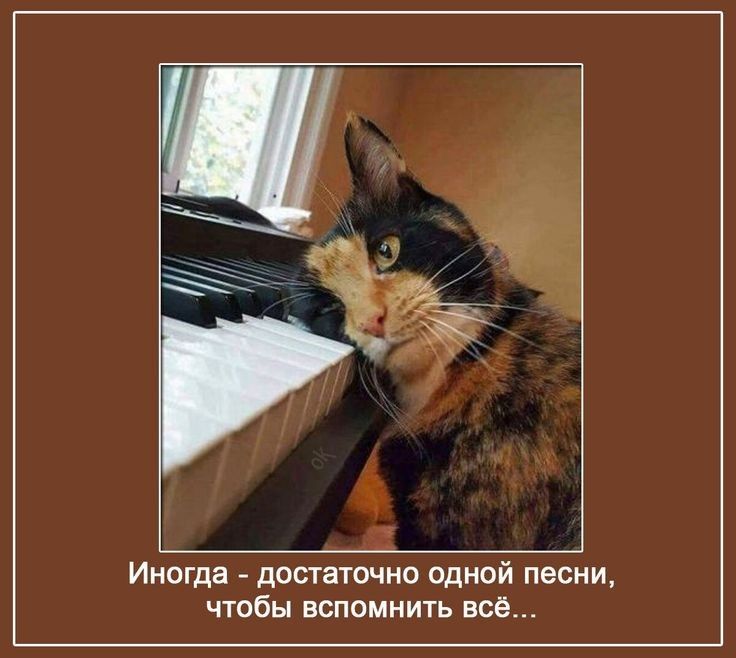 Иногда достаточно одной песни ППБН ВСПОМНИТЬ всё