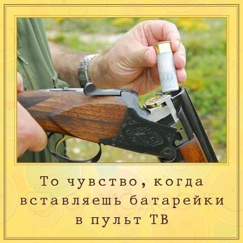 То чувство когда вставляешь батарейки в пульт ТВ