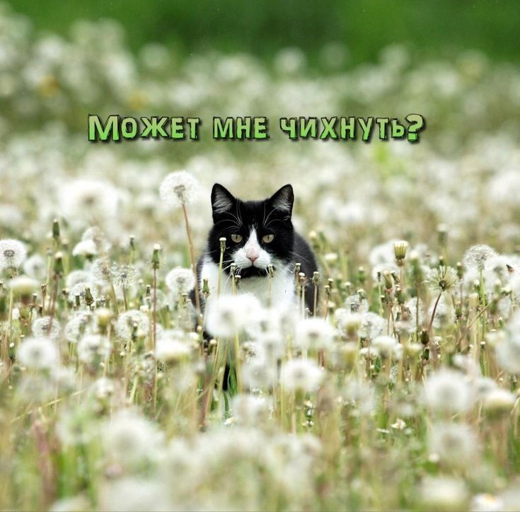 и Можт мнв чиуть