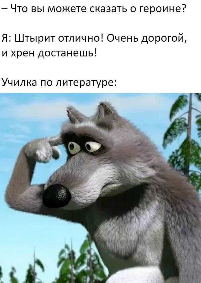 ЧТО выможете СКЗЗЭТЬ О ГЕРОИНЕ Я Штырит отлично Очень дорогой и хрен достанешь Училка по литературе