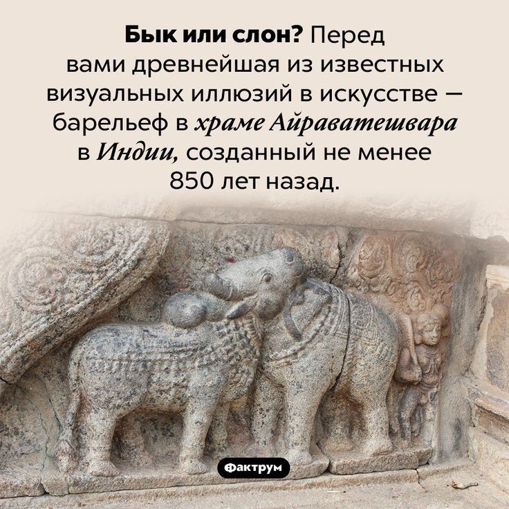 Бык или слои Перед вами древнейшая из известных визуальных иллюзий в искусстве барельеф в храме Айратмгшвара в Индии созданный не менее 850 лет назад