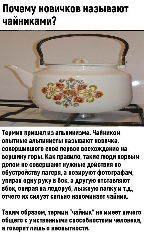 Почему новичков называют чайниками Термин пришел из альпинизма Чайником опытные альпинисты называют новичка СОВЕРШИБШБГО СВОЁ первое ВОСХВЖДБИИП на вершину горы Как правило такие люди первым делом ИБ БПМРШЗЮТ НУЖНЫЕ действия по обустройству лагеря а позируют Фотографам упирая одну руку в Бок а другую отставпнют вбок опираи на подоруб лыжную папку и тд ПТЧВШ ИХ БИЛУЗТ СИЛЫ ИЗПОМИПЗВТ чайник Таким о