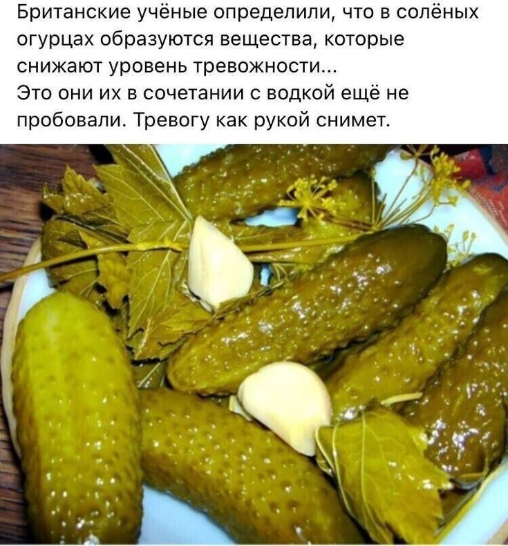 Британские учёные определили что в соленых огурцах образуются вещества которые снижают уровень тревожности Это они их в сочетании с водкой еще не пробовали ТревиГу как рукой снимет