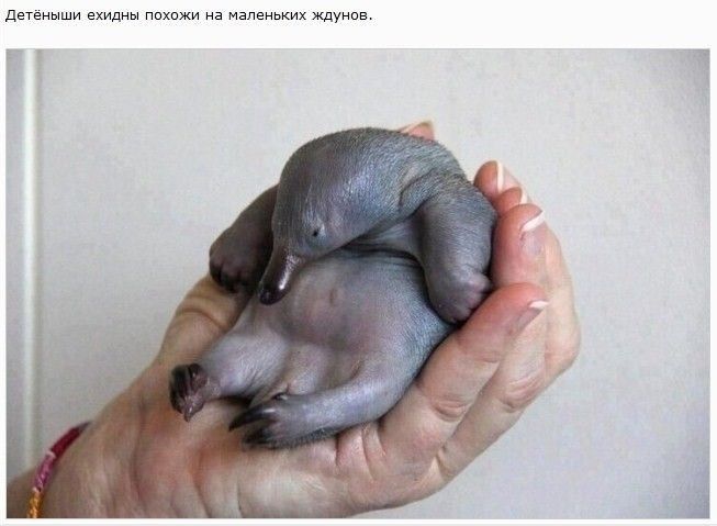 л М мм