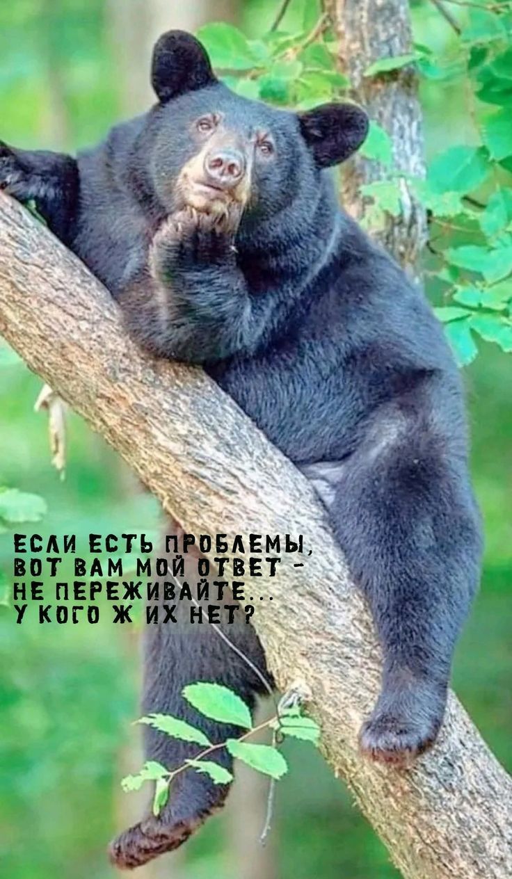 нЕ пвгвж у кого ж