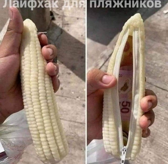 ПЛЯЖНИКОВ